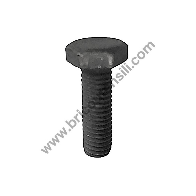Disk locking Left Thread Screw for Mitre Saw Stayer SC261W