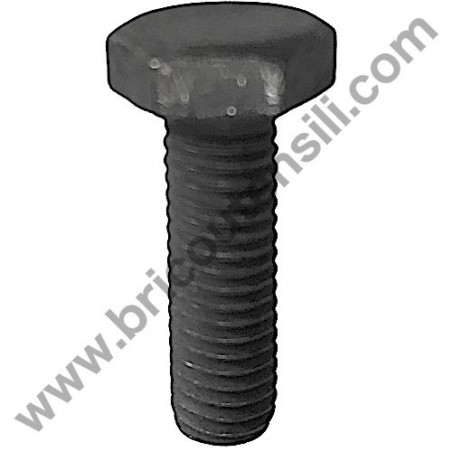 Disk locking Left Thread Screw for Mitre Saw Stayer SC261W