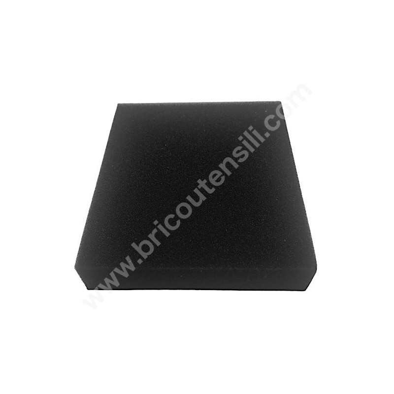 Foam Air Filter for Engine Alpina SV150