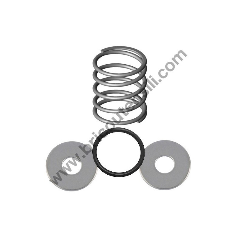 Oil Pump Repair Kit for Chainsaw Dolmar PS33/35