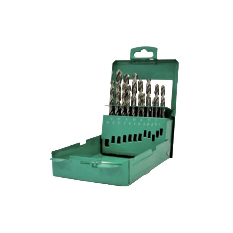 Set Punte hss con codolo cilindrico 19 pz Hitachi