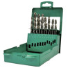 Set Punte hss con codolo cilindrico 19 pz Hitachi