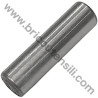 Ratchet Wheel Pin for Lawnmower AMA RT521-RT522