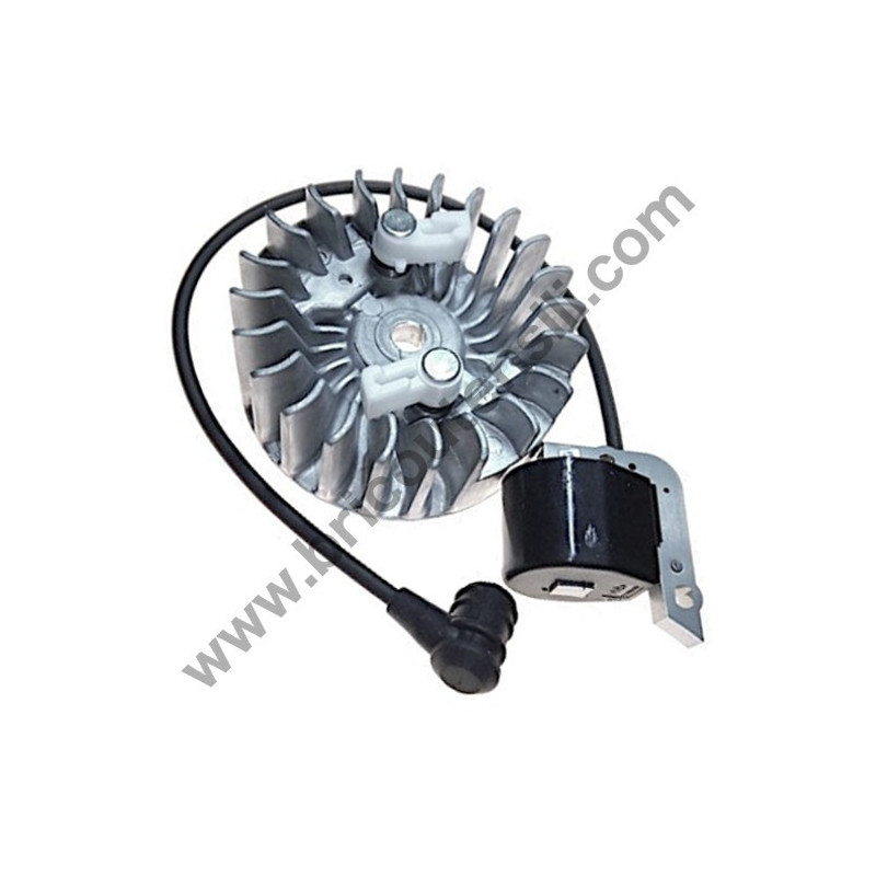 Ignition Coil + Flywheel for Sprayer Volpi & Bottoli Super Jolly 2002