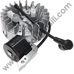 Ignition Coil + Flywheel for Sprayer Volpi & Bottoli Super Jolly 2002