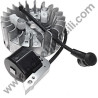 Ignition Coil + Flywheel for Sprayer Volpi & Bottoli Super Jolly 2002
