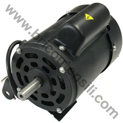 Motor for Bench Drill Press Valex TR13RB