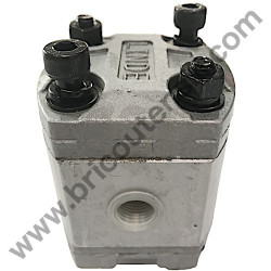 Hydraulic Pump for Hydraulic Log SplitterAMA GRAND YAK - 1