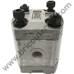 Hydraulic Pump for Hydraulic Log SplitterAMA GRAND YAK - 2