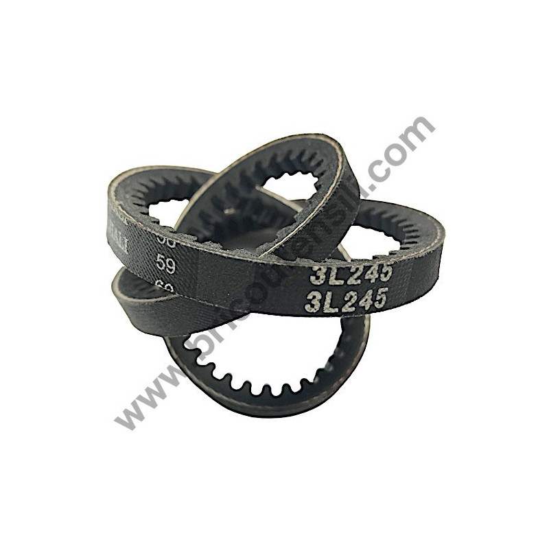 Cinghia Dentata per Tornio per Legno Fox F46-717A