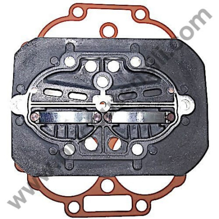 Valves Plate Kit for Pumping Units FIAC AB 245-335