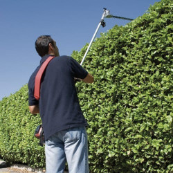 Hedge Trimmer Accessory for Valex Brushcutters and Pruners