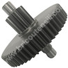 Stright Gear Assy for Band Saw Femi 791