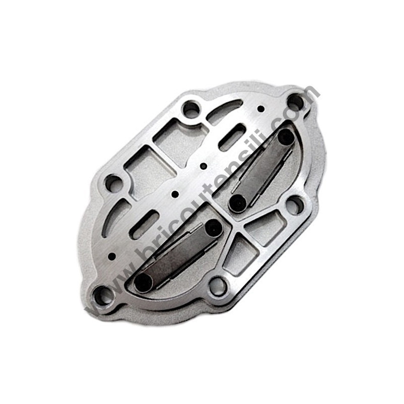 Kit Valves Plate for Pumping Unit FIAC AB 360