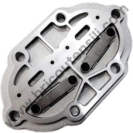 Pistone per Gruppo Pompante Fiac AB 248-338-360