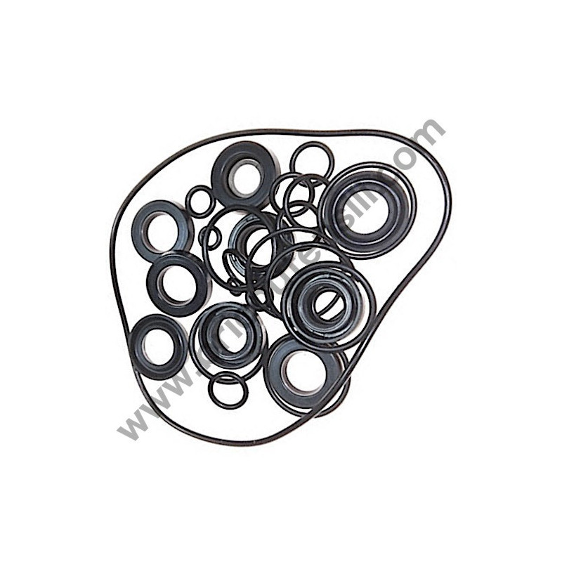 Water Seals S.202 VE for Pressure Washers AR Farmer's Extreme