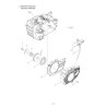 Maruyama Parts for Chainsaw MCV3101TS(10)-01