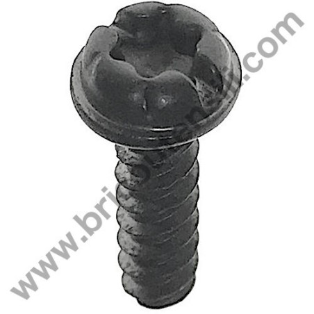 Screw TX 5X18 TB Flanged for Chainsaws Alpina