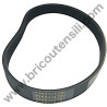Belt for Motor Hoe Green Zap (52116) Papillon