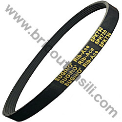 Belt for Motor Cultivator (99069) Papillon