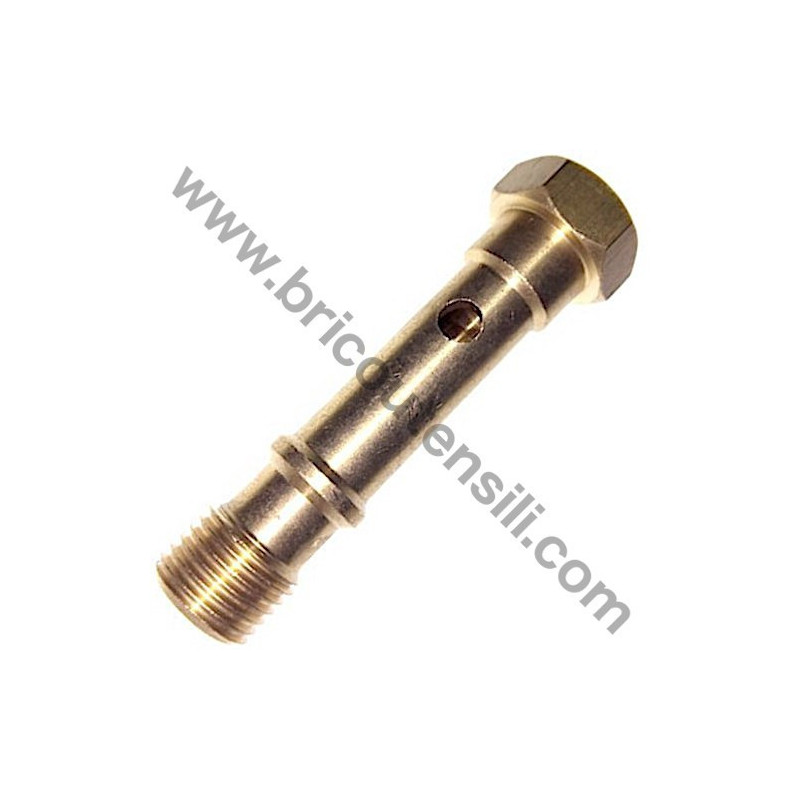 Vite 1/4"G ECUII per Compressori Fiac LEONARDO HP 1