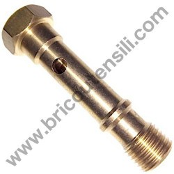 Vite 1/4"G ECUII per Compressori Fiac LEONARDO HP 1