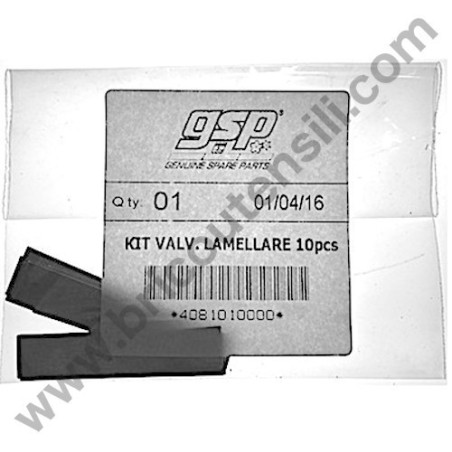 Kit Valvole Lamellari 10 pz per Gruppi Pompanti Fiac VX -GM