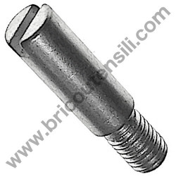 Pad Holder Special Screw for Wall Sanders Rurmec P1000/1500