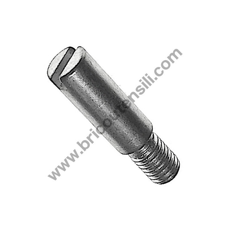 Vite Bloccaggio Supporto Platorello per Levigatrice Rurmec P1000/1500