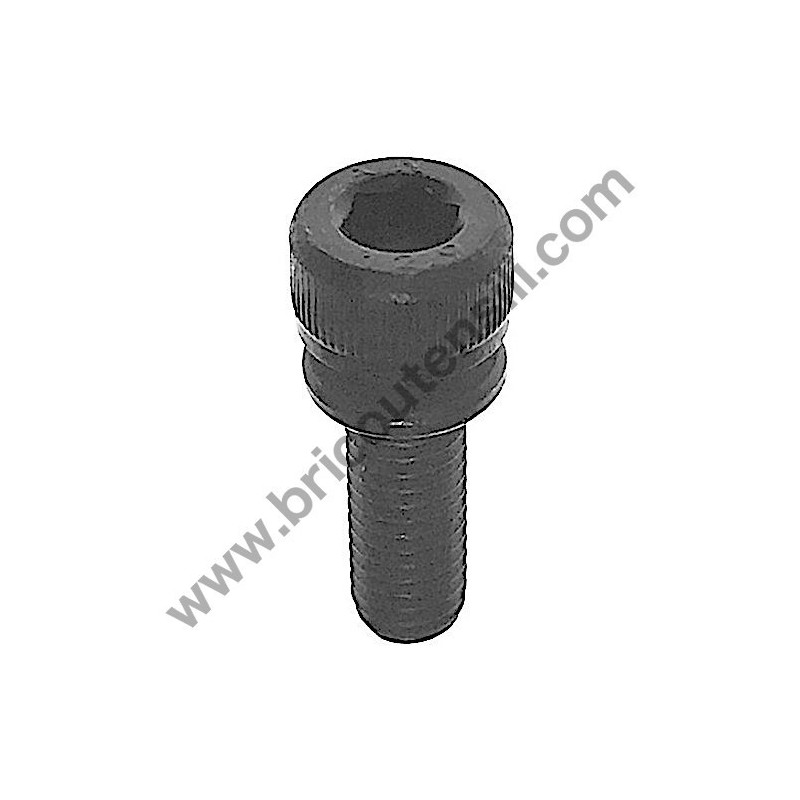 Hex Hole Bolt 10.9 M5x16/6 for Chainsaws Hitachi