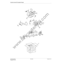 Ricambi Alpina per Motosega A 305