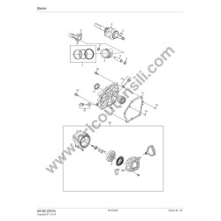 Ricambi Alpina per Motosega A 305