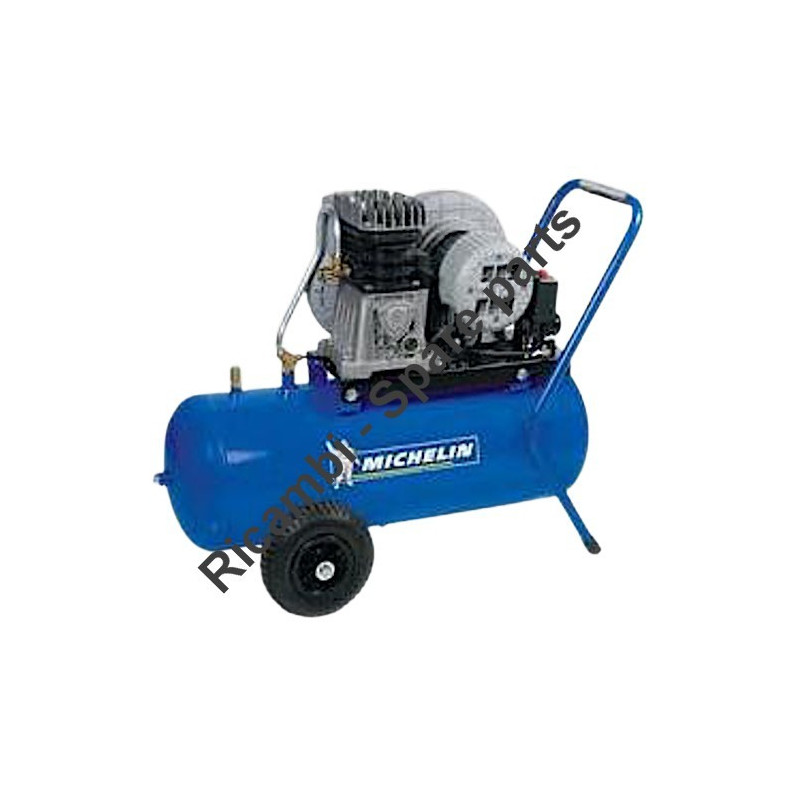 Ricambi Michelin per Compressore MCX 50 B