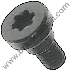 TORX Screw for Cordless Screwdriver Bosch GSR 10,8 V-LI-2