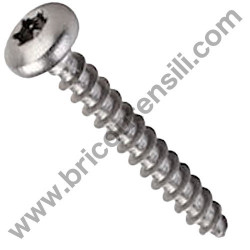 Torx Oval Head Screw for Belt Sanders Bosch PBS 7 A-AE