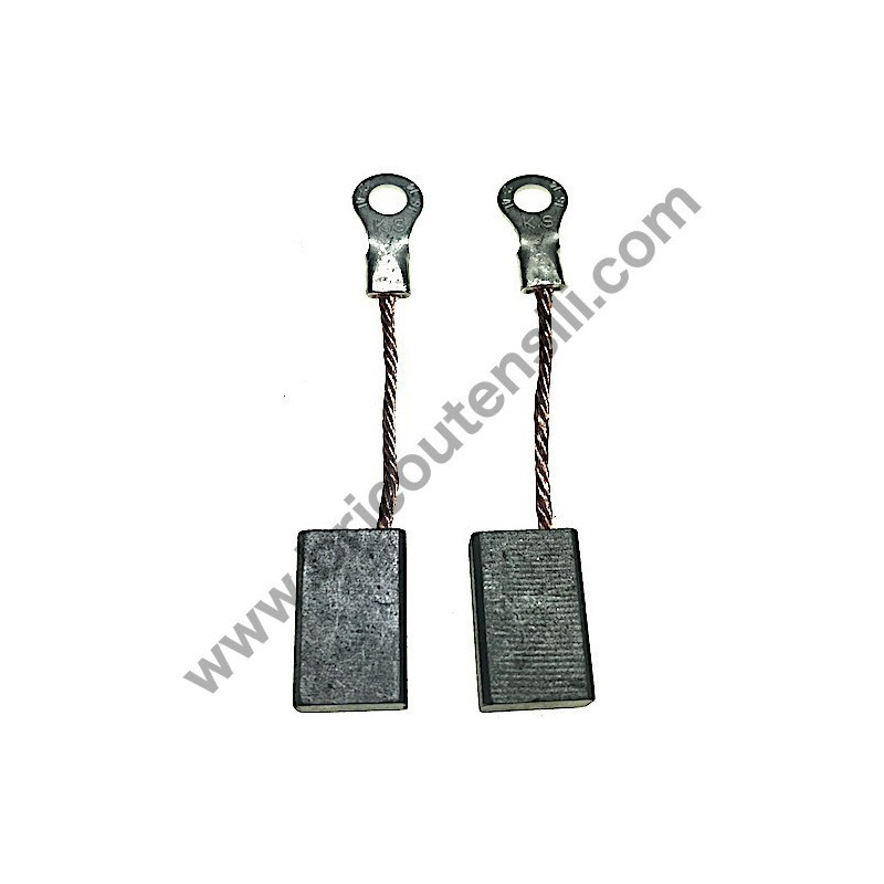 Carbon Brushes for Scouring Machine Rurmec RL120