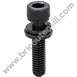 Screw TCCE M6X25 for Chainsaw - Brushcutters Alpina