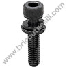 Screw TCCE M6X25 for Chainsaw - Brushcutters Alpina