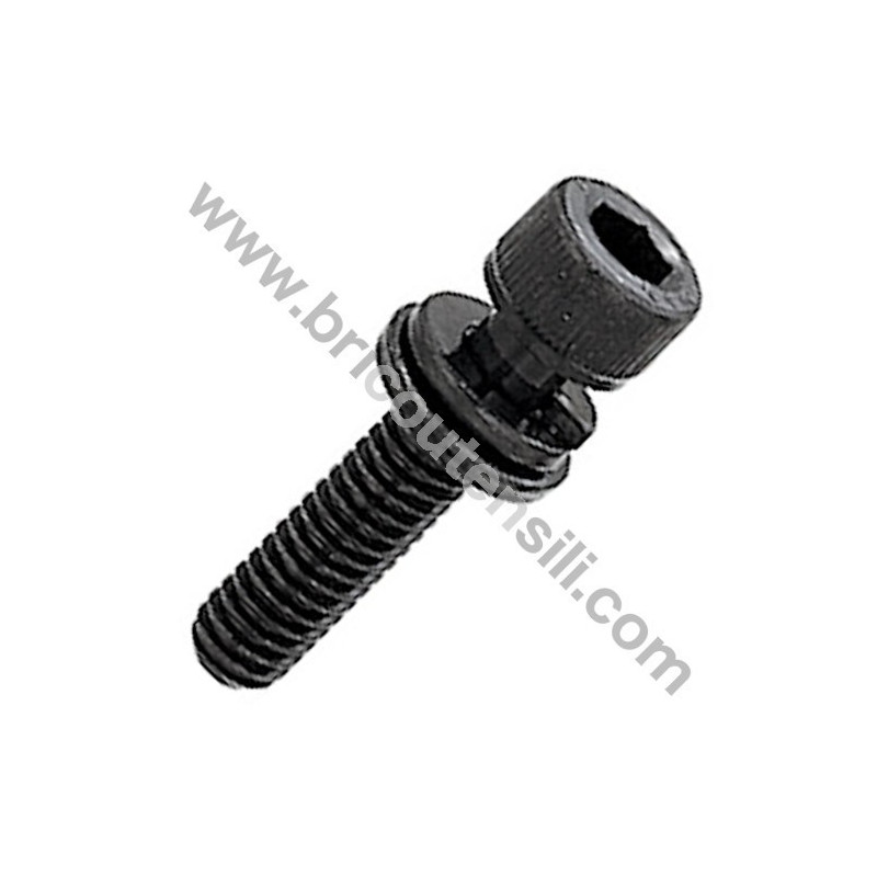 Screw TCCE M6X25 for Chainsaw - Brushcutters Alpina