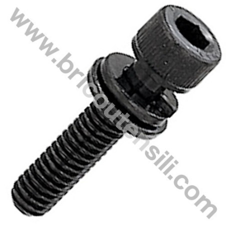 Screw TCCE M6X25 for Chainsaw - Brushcutters Alpina