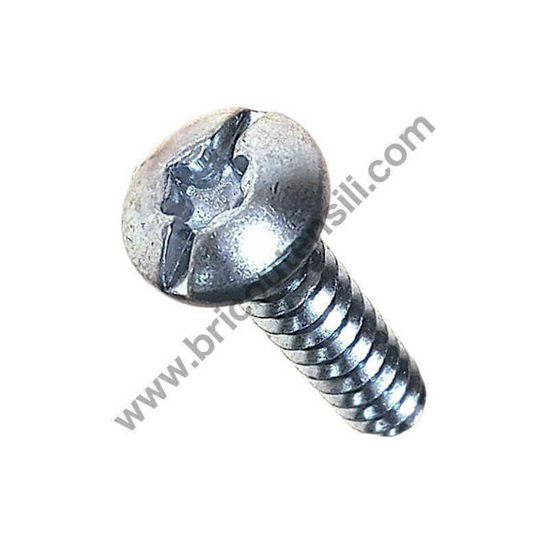 Vite Torx A Testa Di Sego 5,5x25 per Demolitori Bosch GBH-GSH