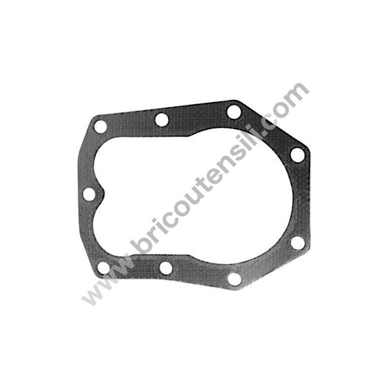 Ricambi Briggs & Stratton per Motore Serie 450