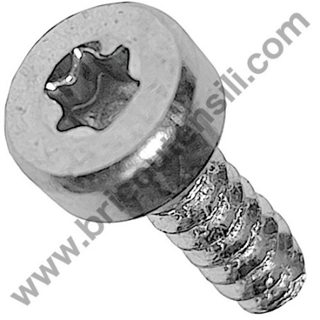 Self-Tap Screw 4.8x16 for Chainsaw Alpina AC 46