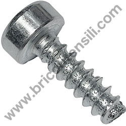 Self-Tap Screw 4.8x16 for Chainsaw Alpina AC 46
