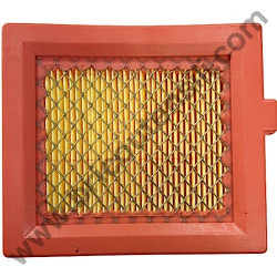 Filtro Aria per Motore Alpina M150