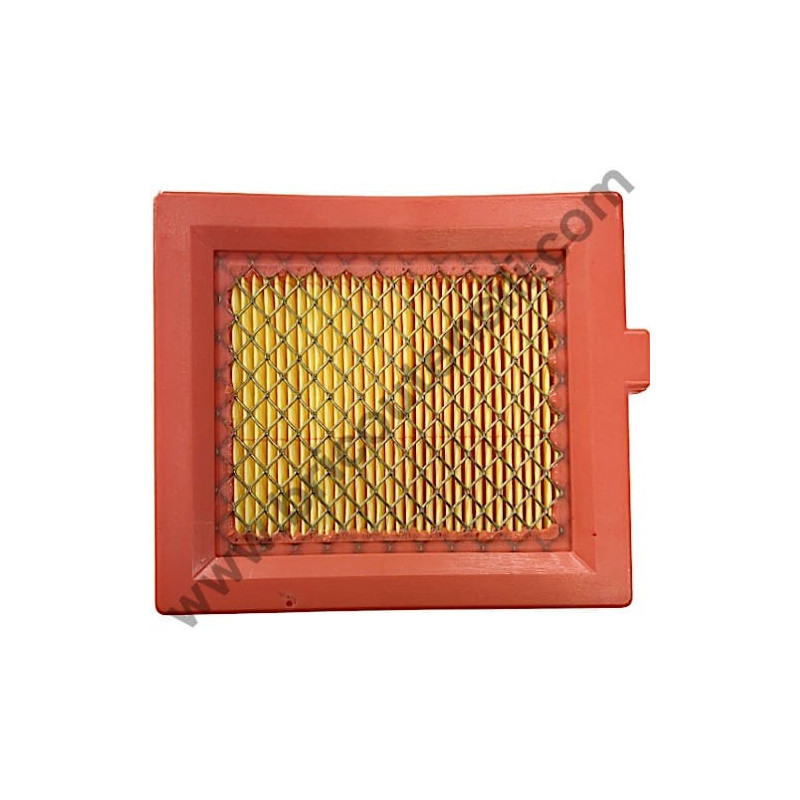 Filtro Aria per Motore Alpina M150