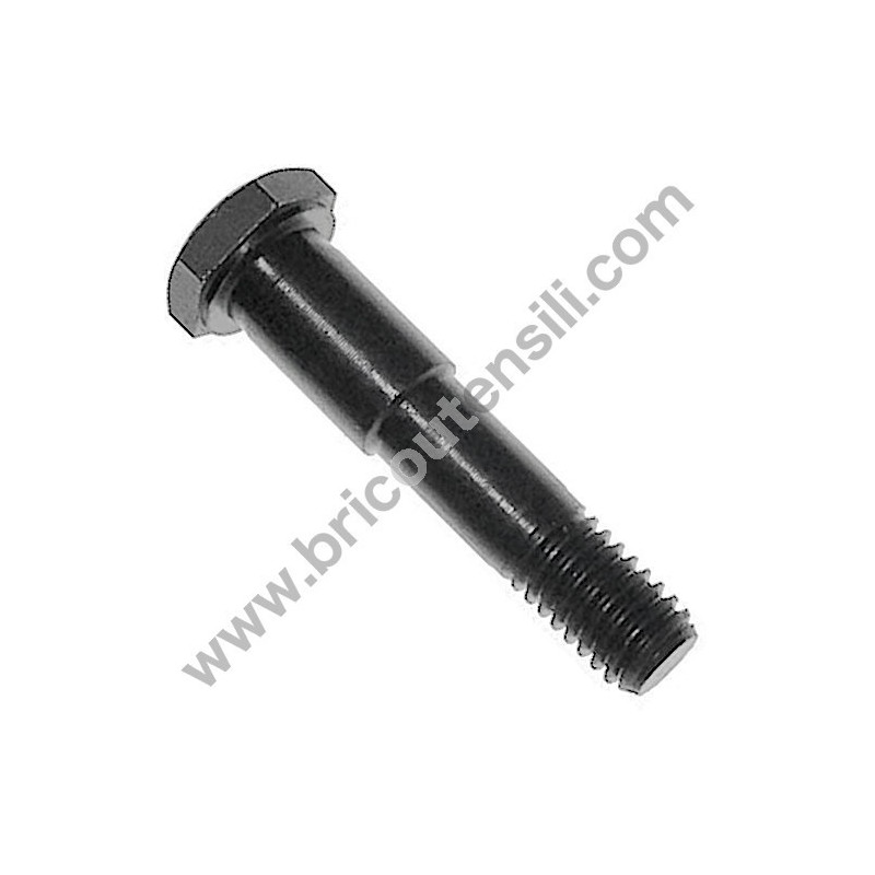 Screw Locking Bearing for Band Saw Femi NG120