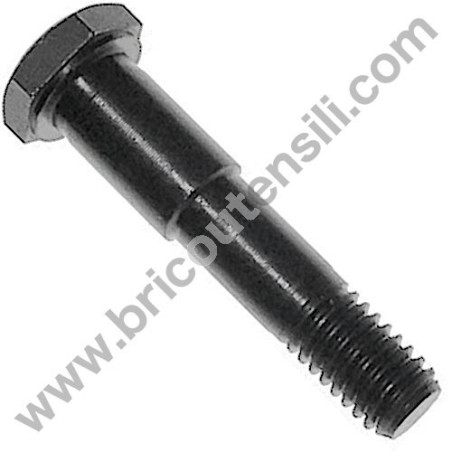 Vite Bloccaggio Cuscinetto per Segatrice a Nastro Femi NG120