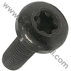 Vite TCB Torx M6x20 per Regolazione Altezza Taglio Rasaerba Alpina