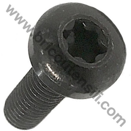Screw TCB Torx M6x20 for Lawnmower Cutting Height Adjustment